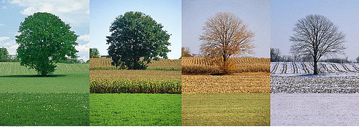 绅士向《Bunny Garden》登陆Switch 稍后登陆Steam